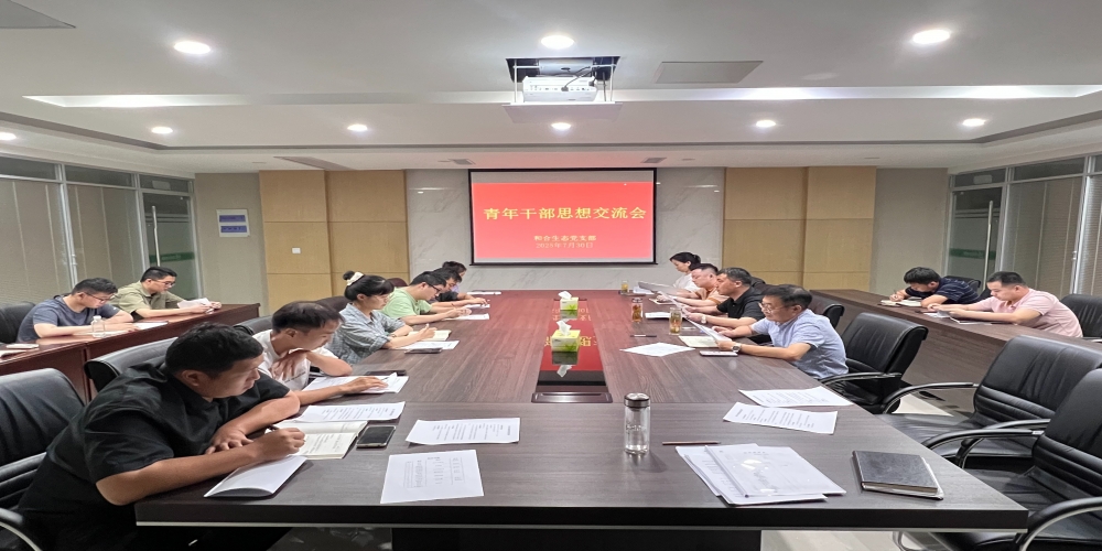 綠葉集團(tuán)組織召開青年干部思想交流會